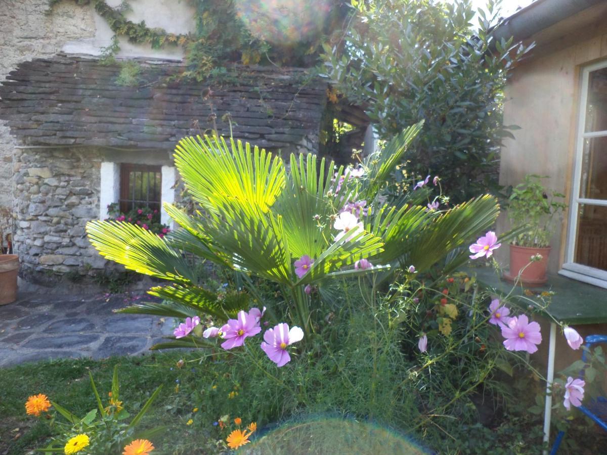 B&B Casa Codega Intragna TI Exterior foto